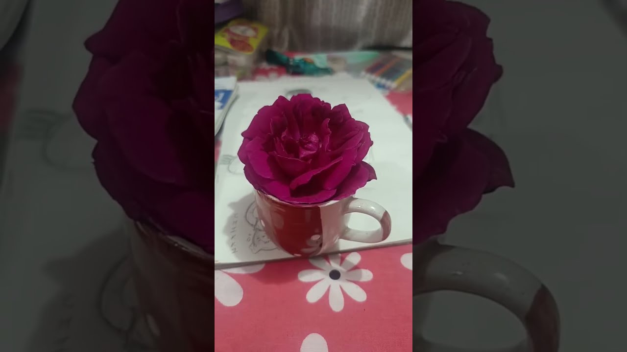 कालिका:rose day special 🌹
