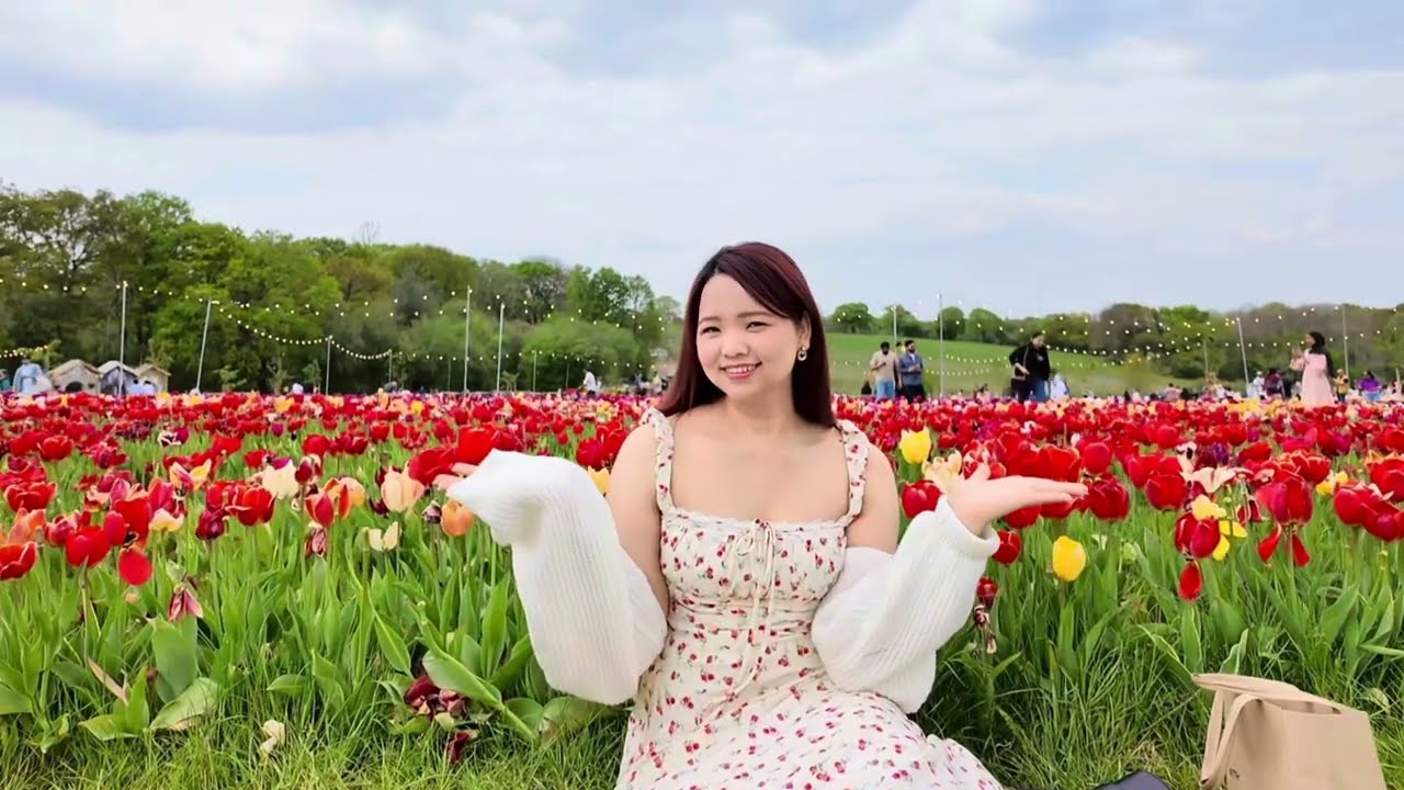 TULLEYS TULIP FEST 2025, UK