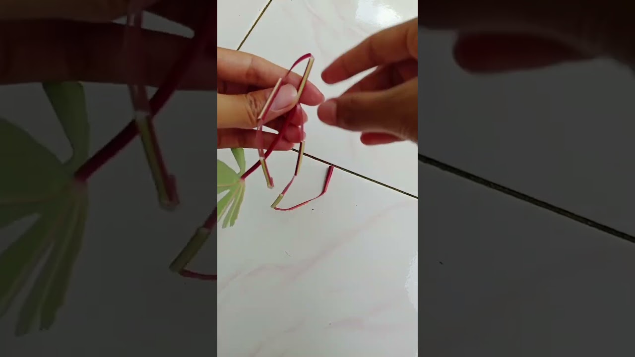 kalung mainan dari daun singkong#trending #idekreati#craft #food #diy #diycrafts