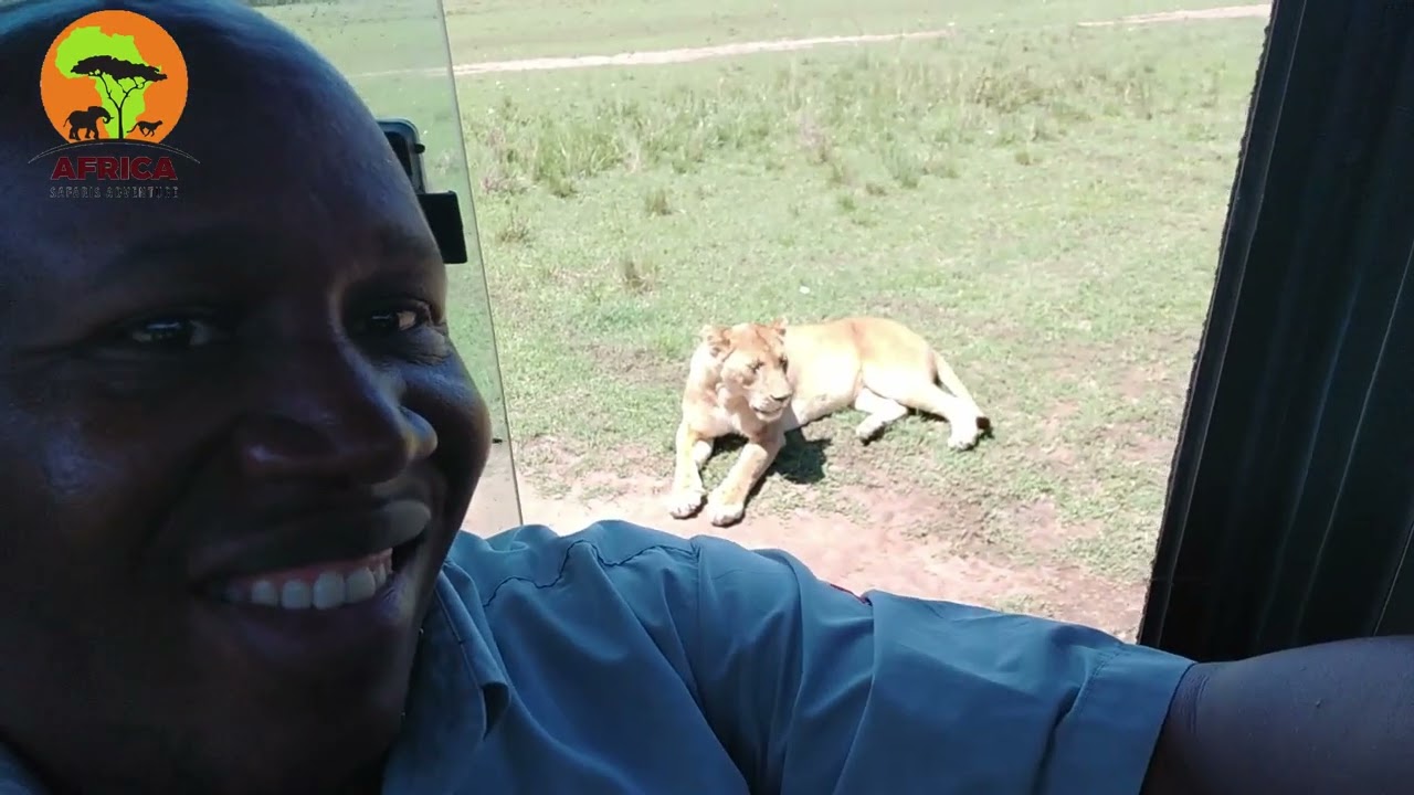 MIGRATION ADVENTURE SAFARI
