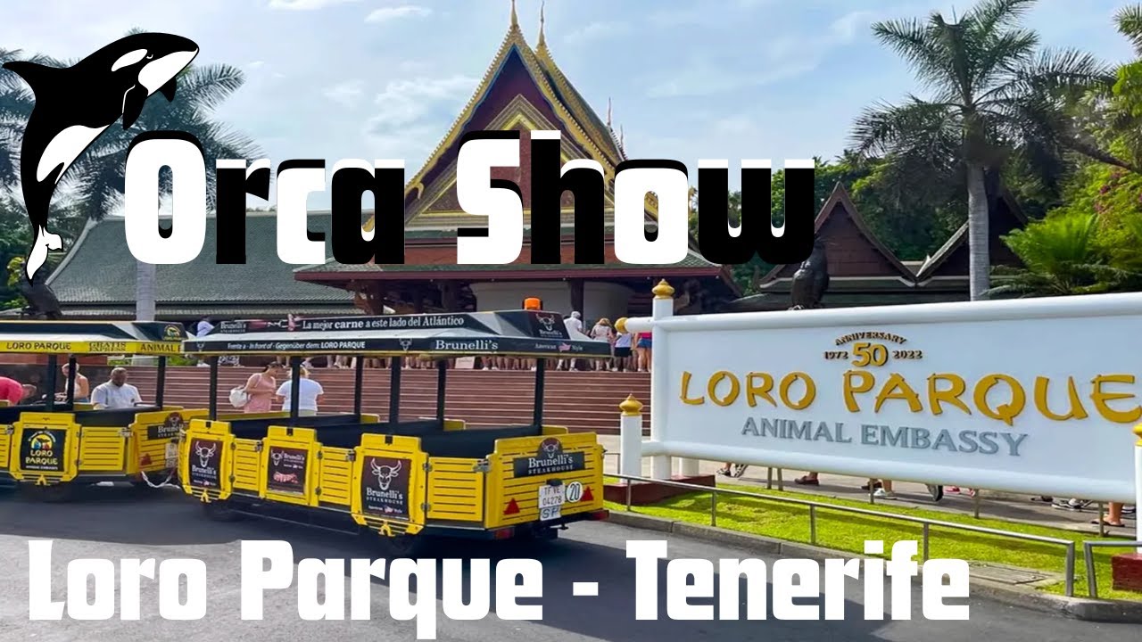 Loro Parque FULL Whale Show !! - TENERIFE