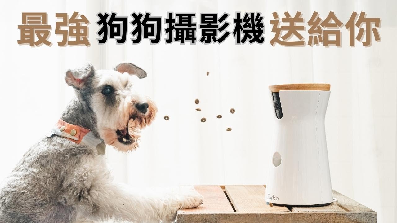 Furbo 狗狗攝影機 360 度版開箱！寵物家庭必備 「旋轉、追蹤、投食、夜視、連居家安全都顧到」我們家的代理保母！