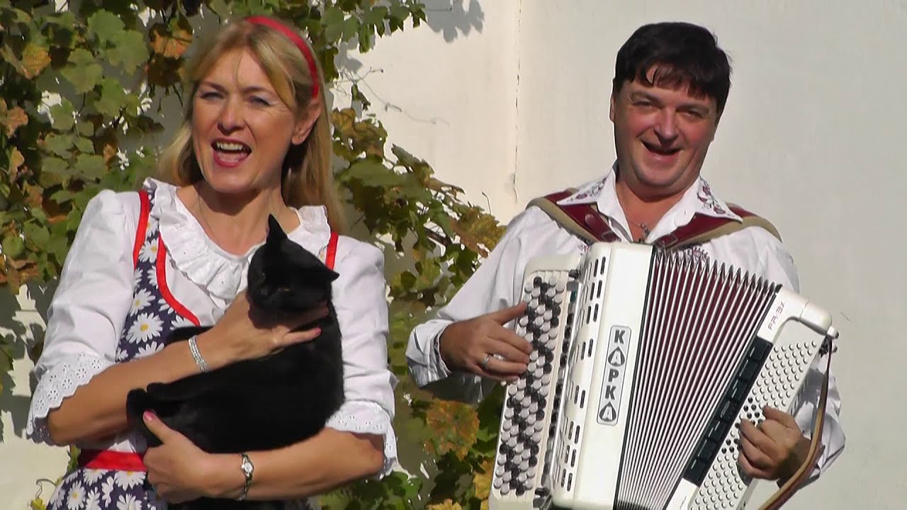 KAPESNÍ KAPELA KAPKA - Mňau, kočičko