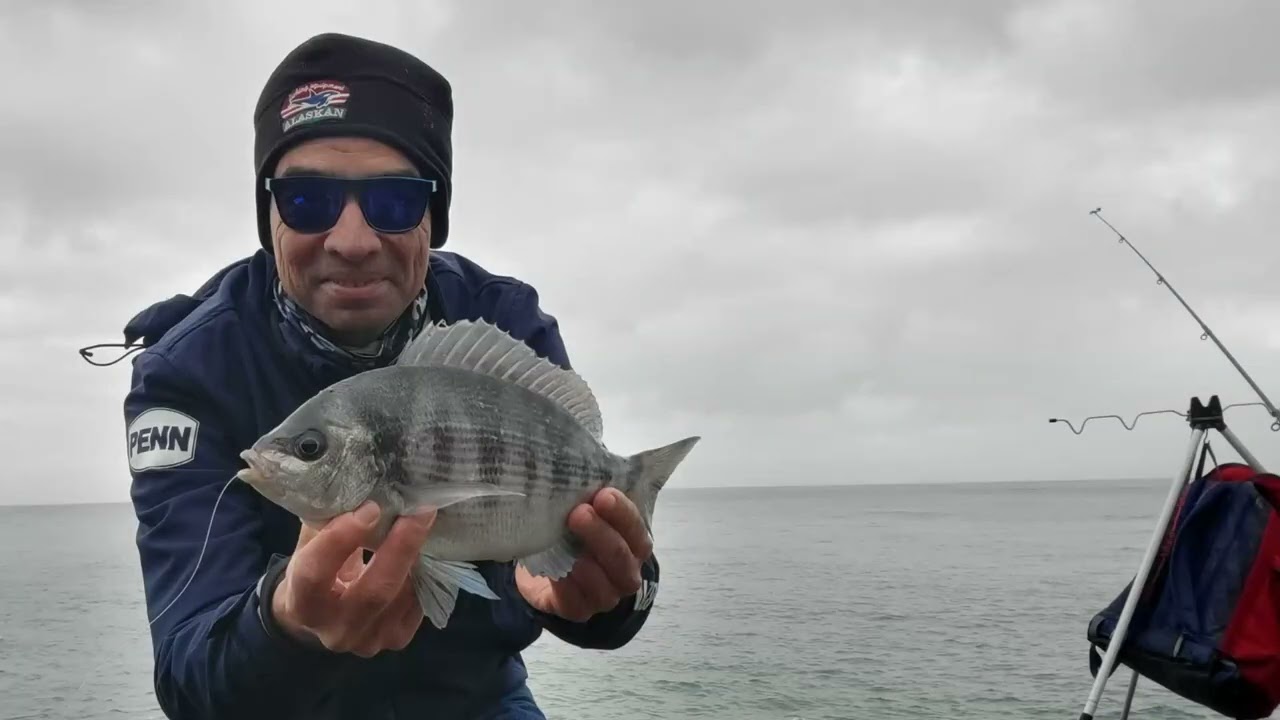PECHE à FOND de DORADES en mer de la côte