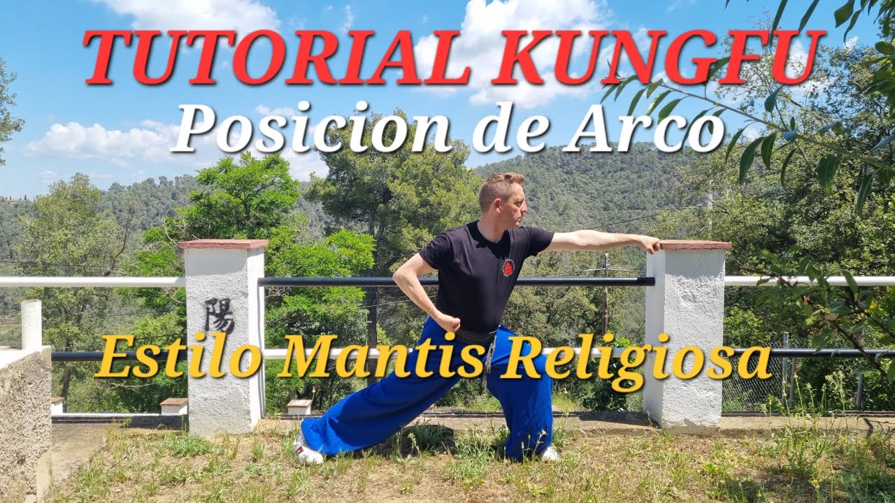 LA POSTURA DE ARCO EN EL KUNGFU MANTIS RELIGIOSA#kungfu #wushu #tanglangquan
