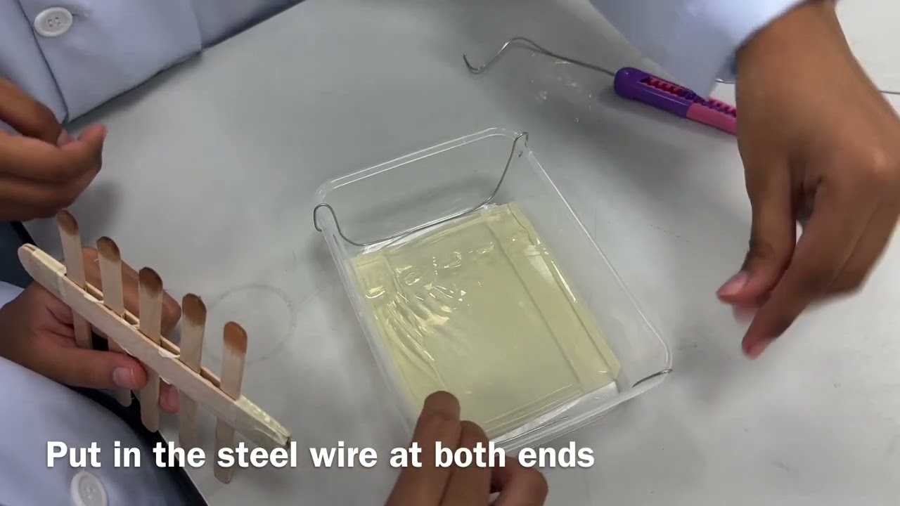 DIY GEL ELECTROPHORESIS PROJECT (HM1 GROUP 4)