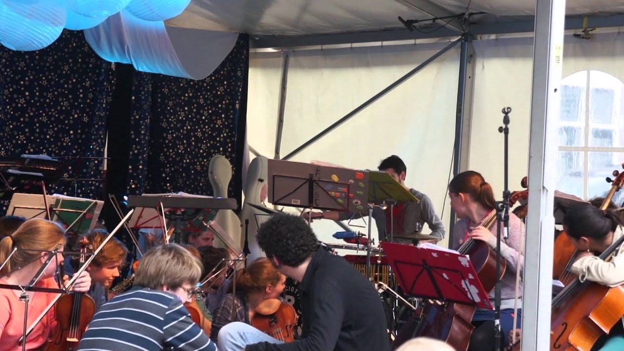 Ricciotti Ensemble, Havikconcert 2013 — De gepikte vogel