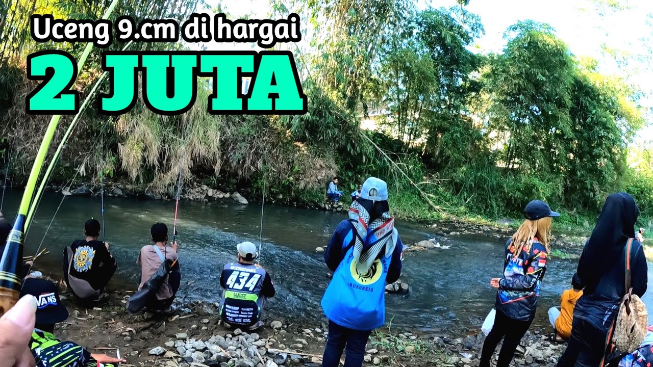Lomba mancing uceng hadiah 2 juta || Sukorejo kendal (micro fishing)