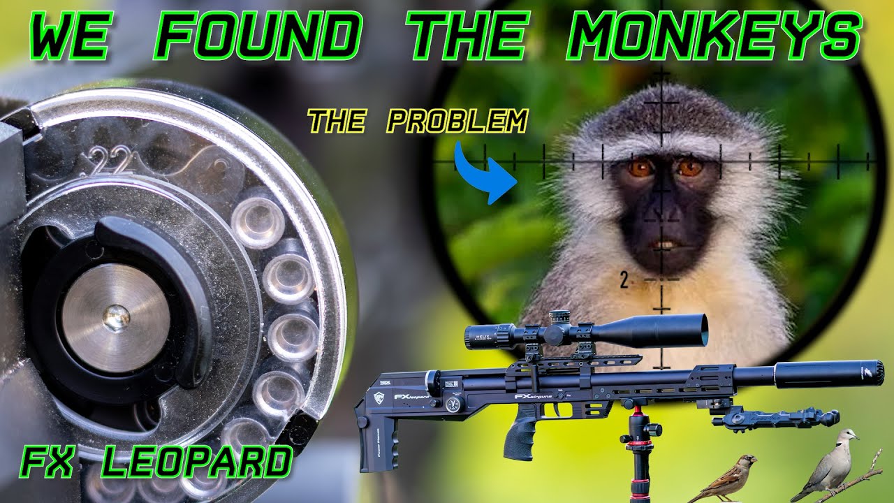 Culling monkeys | FX Leopard | 18gr Pellets | Hunting & Pest Control