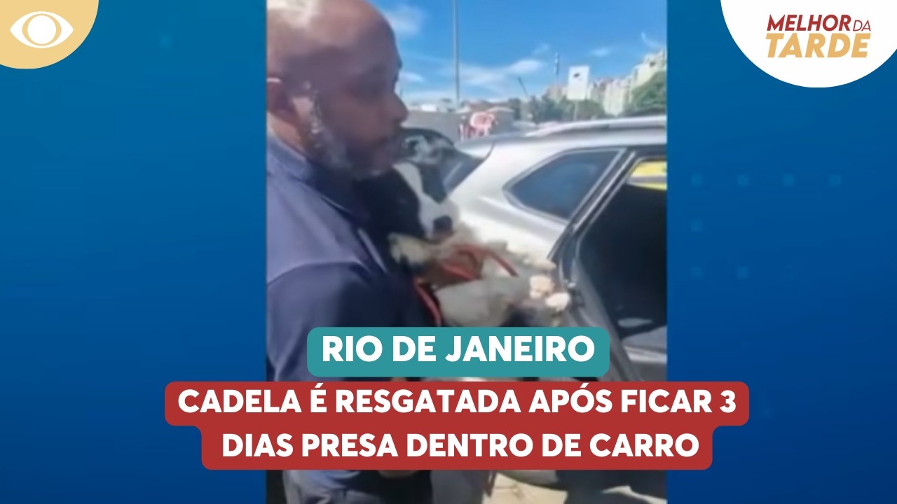 Cadela é resgatada após ficar 3 dias presa dentro de carro