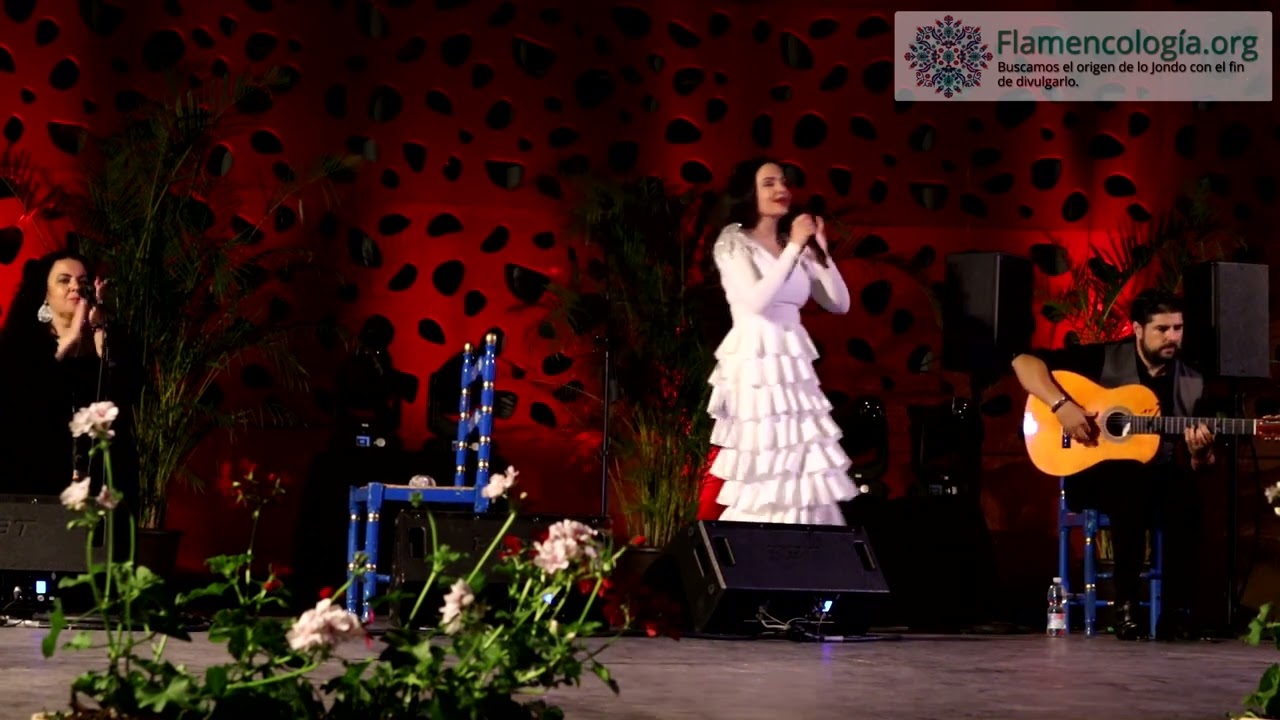 #Flamencología Reyes Carrasco - Fandangos y Bulerías. Al toque Manuel Valencia.