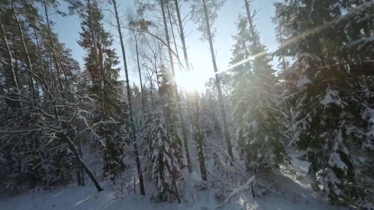 Lithuanian winter FPV 2026