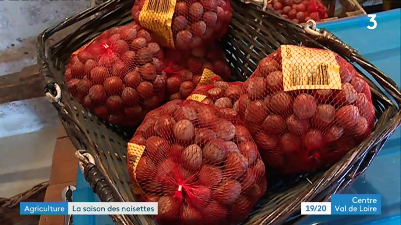 D&eacute;couverte de la nuciculture en Centre-Val de Loire