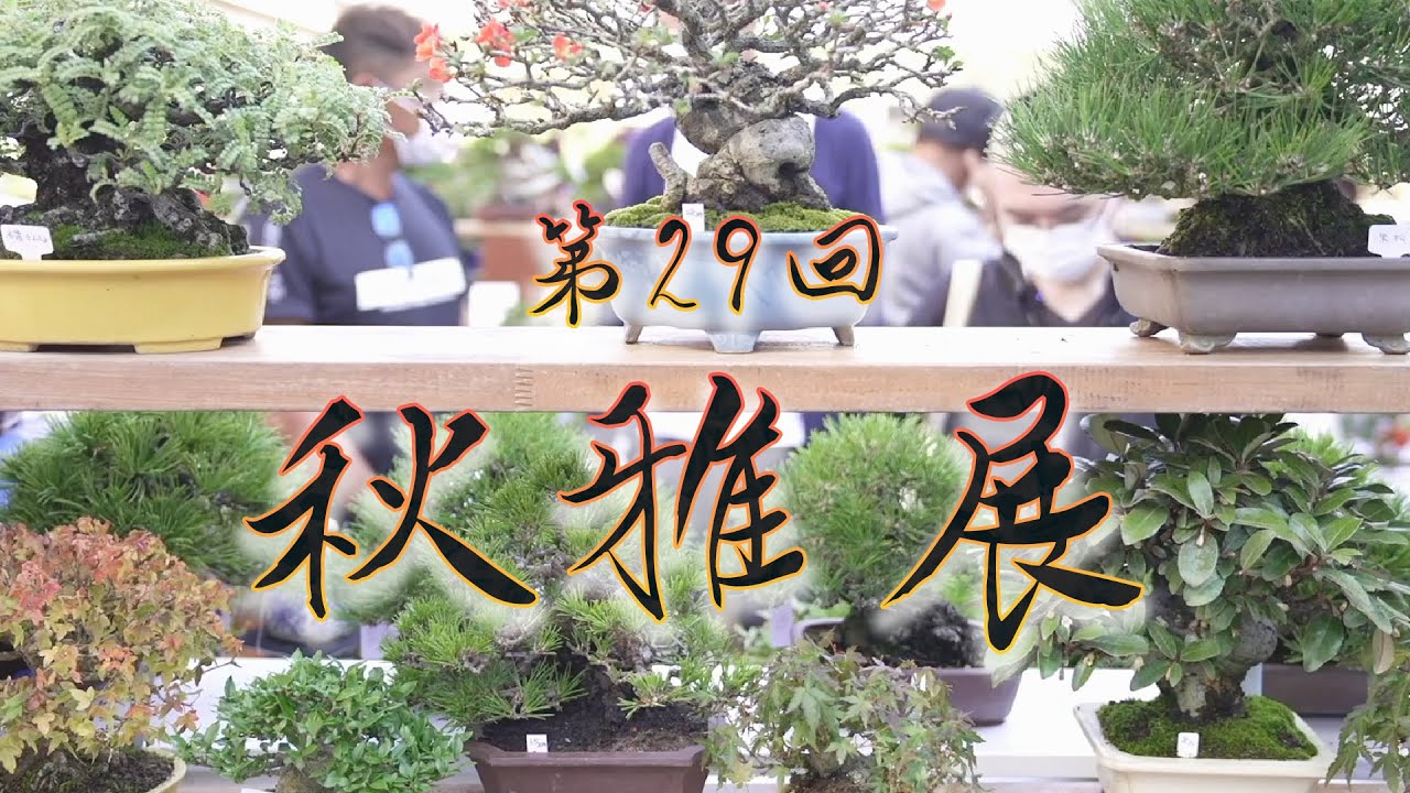 第29回 秋雅展｜イベント概要と出店業者紹介