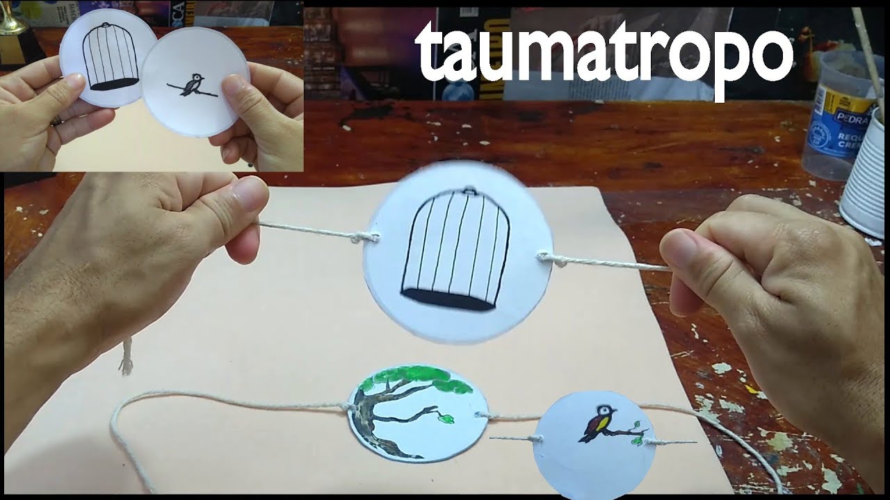 artesanato- brinquedo óptico taumatropo feito de papel , caixa de sucrilhos e barbante