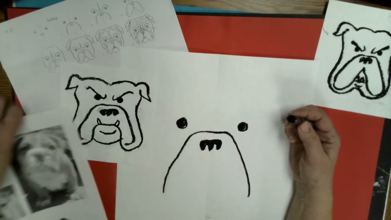 Drawing a Bulldog