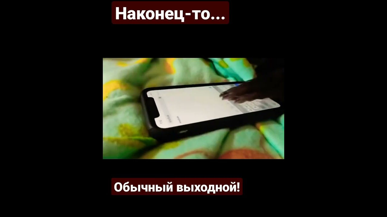 Когда дождался выходного! Обычный выходной! shorts