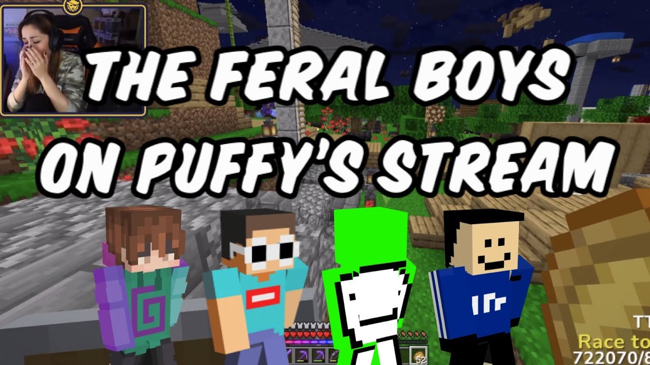 Dream, George, Karl and Quackity pop off on CaptainPuffy’s stream