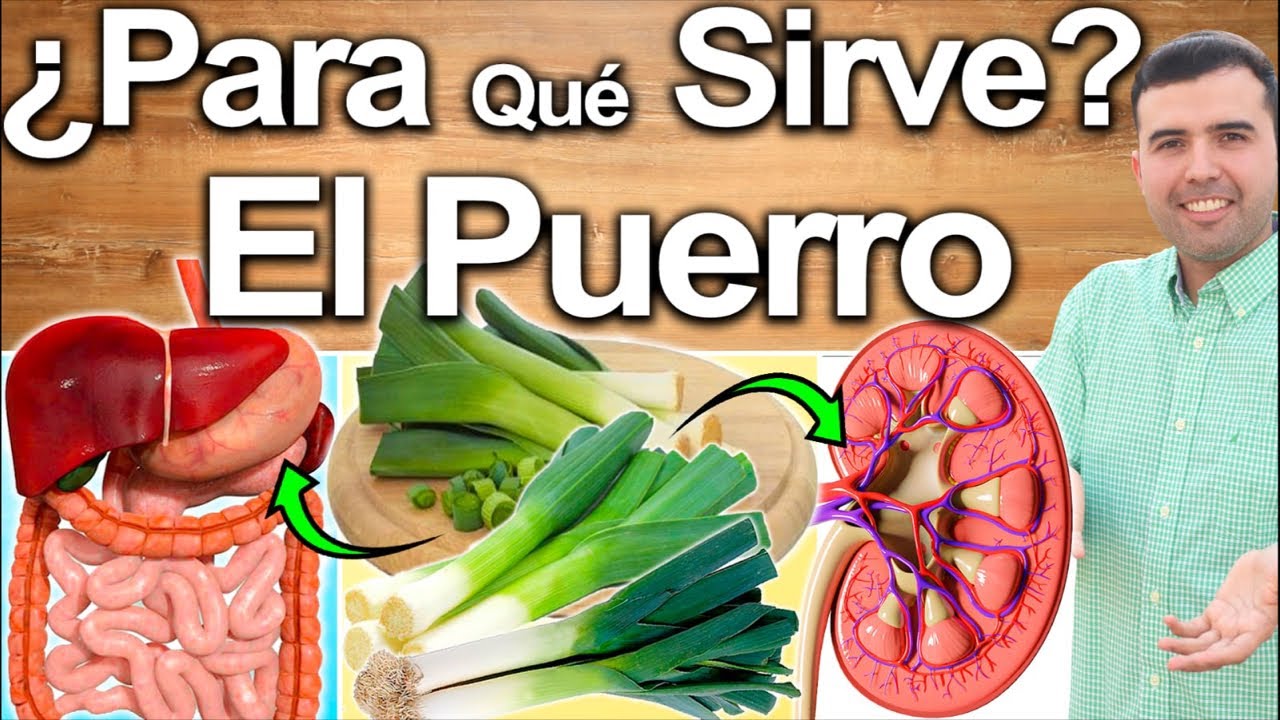 Puerro Todos Los D&iacute;as - Para Qu&eacute; Sirve El Ajoporro? - Beneficios Para Tu Salud Y Belleza