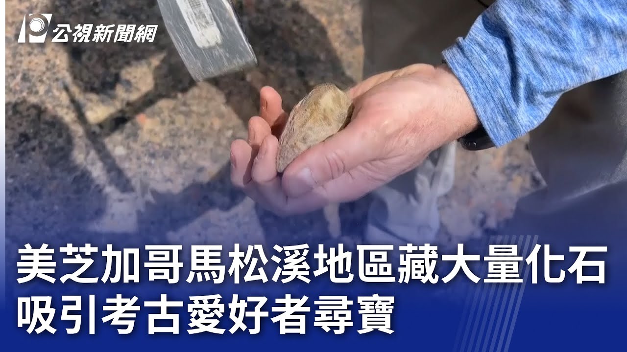 美芝加哥馬松溪地區藏大量化石 吸引考古愛好者尋寶｜20250715 公視晚間新聞