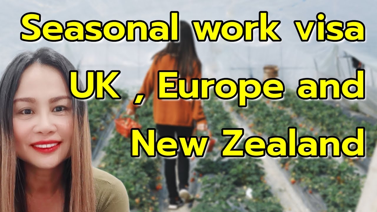 Seasonal work visa วีซ่าทำงานฟาร์มตามฤดูกาลการ #ukvisa #newzealandlife #schengenworkvisa