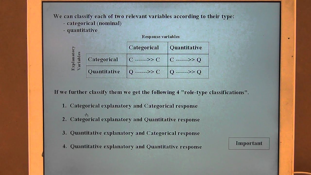Role Type Classification of a Variable