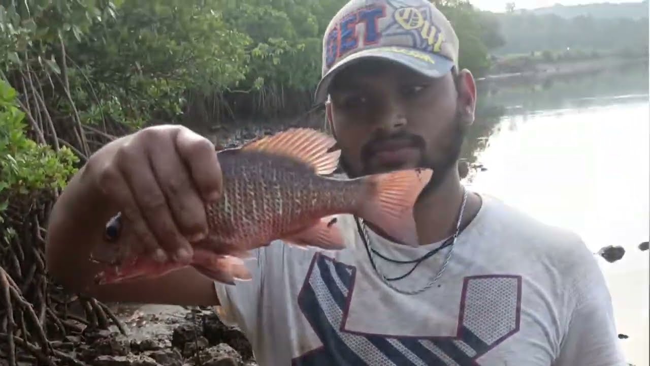 Red snapper & Barramundi fishing in Konkan || #redsnapper #barramundi ||🎣🎣