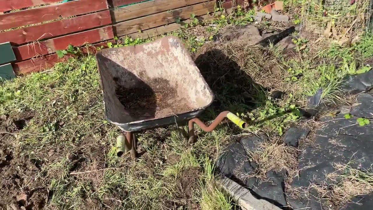 Cooch / couch grass &hellip; get rid of it properly !