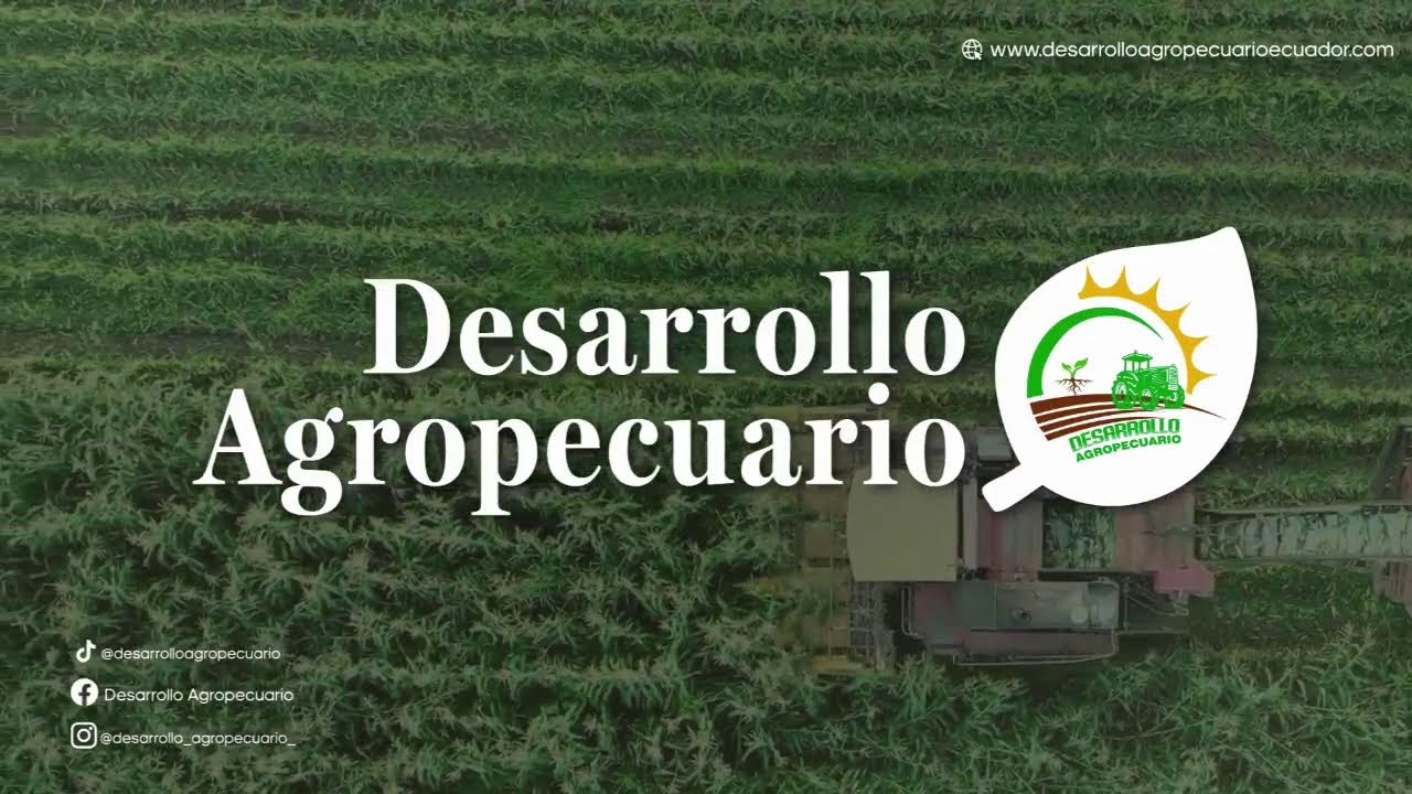 DESARROLLO AGROPECUARIO.
