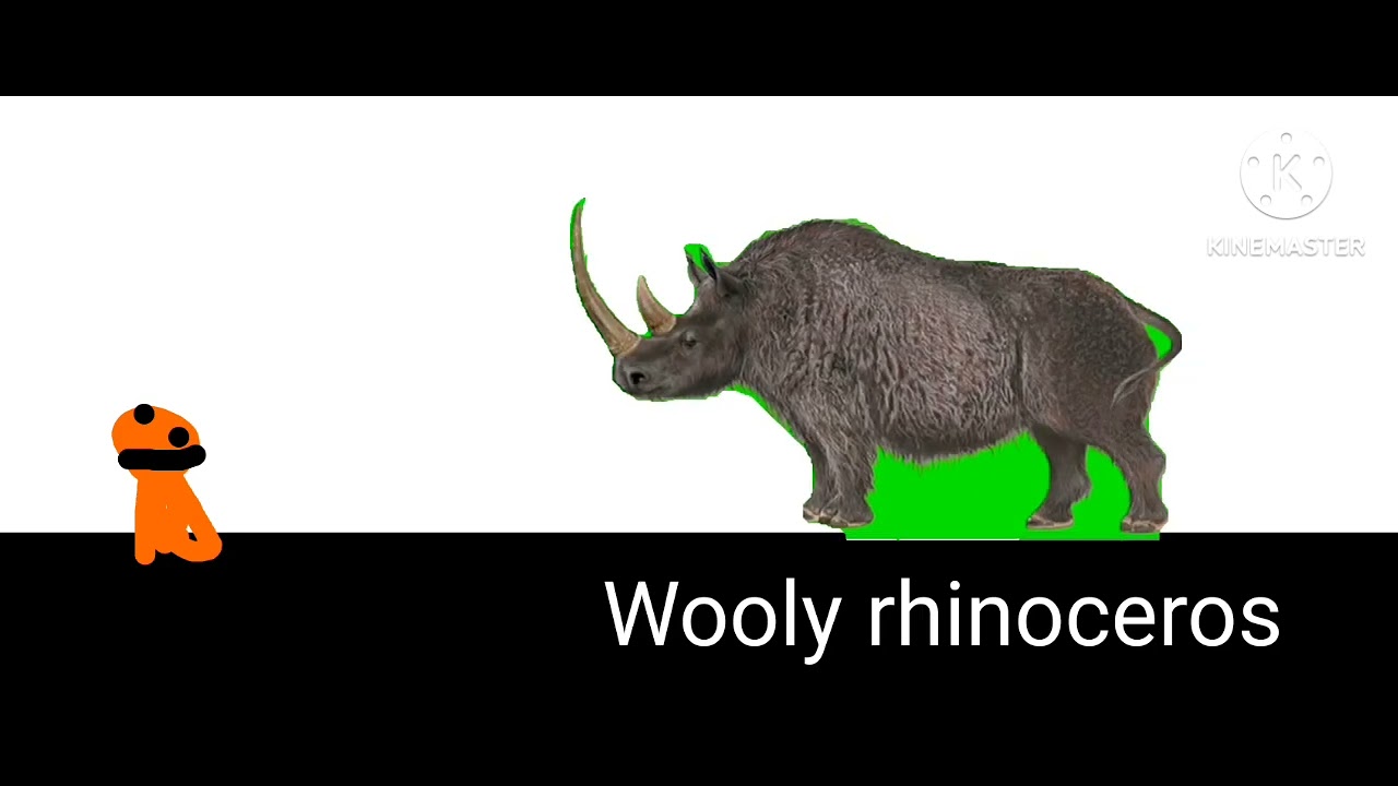 Presthioc Animal size comparison 