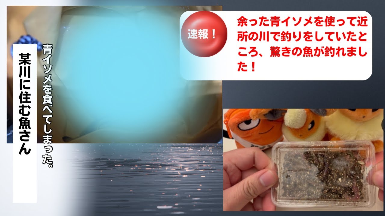 近所の川でイソメを使うとまさかの魚が！？