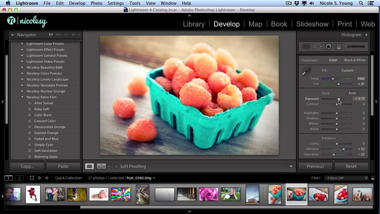 Nicolesy Store: Applying Lightroom Presets