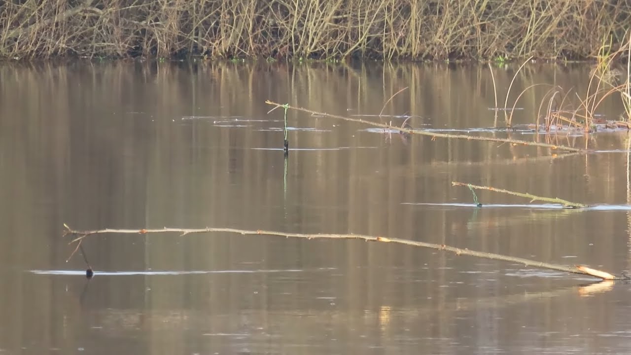 Риболовля на саморобну жерлицю, велика вода Стоходу