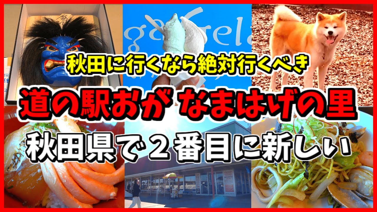 【秋田県】これを見れば男鹿半島の全てが分かる！海鮮！グルメ！なまはげも買える最新道の駅！【道の駅おが】