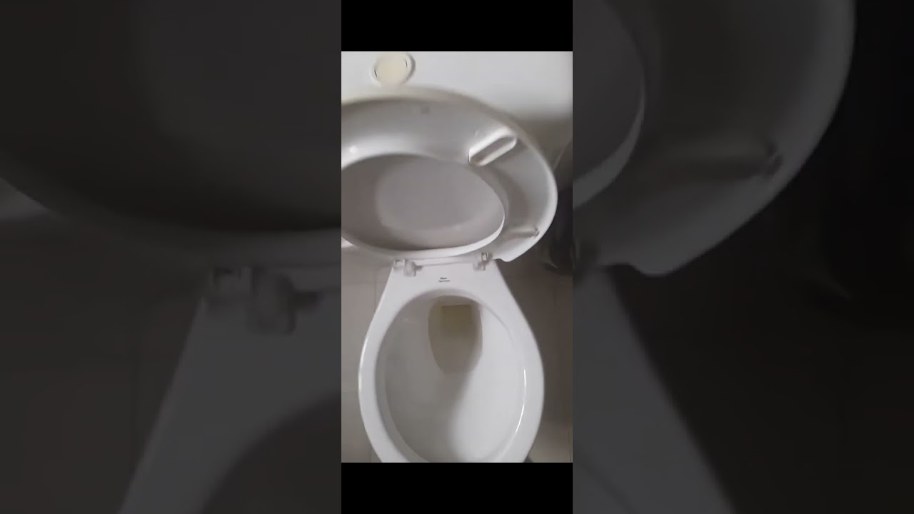 vaso sanitário Deca Ravena acoplado