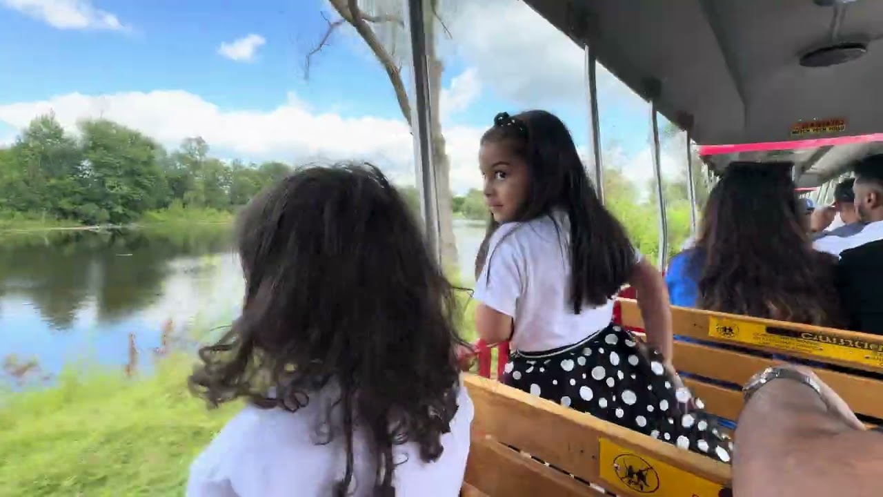 Scenic Railway Ride 🚂#railwayride #railthroughjungle #scenicride  #adventure