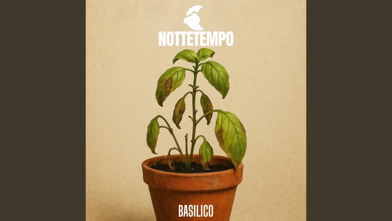 Basilico