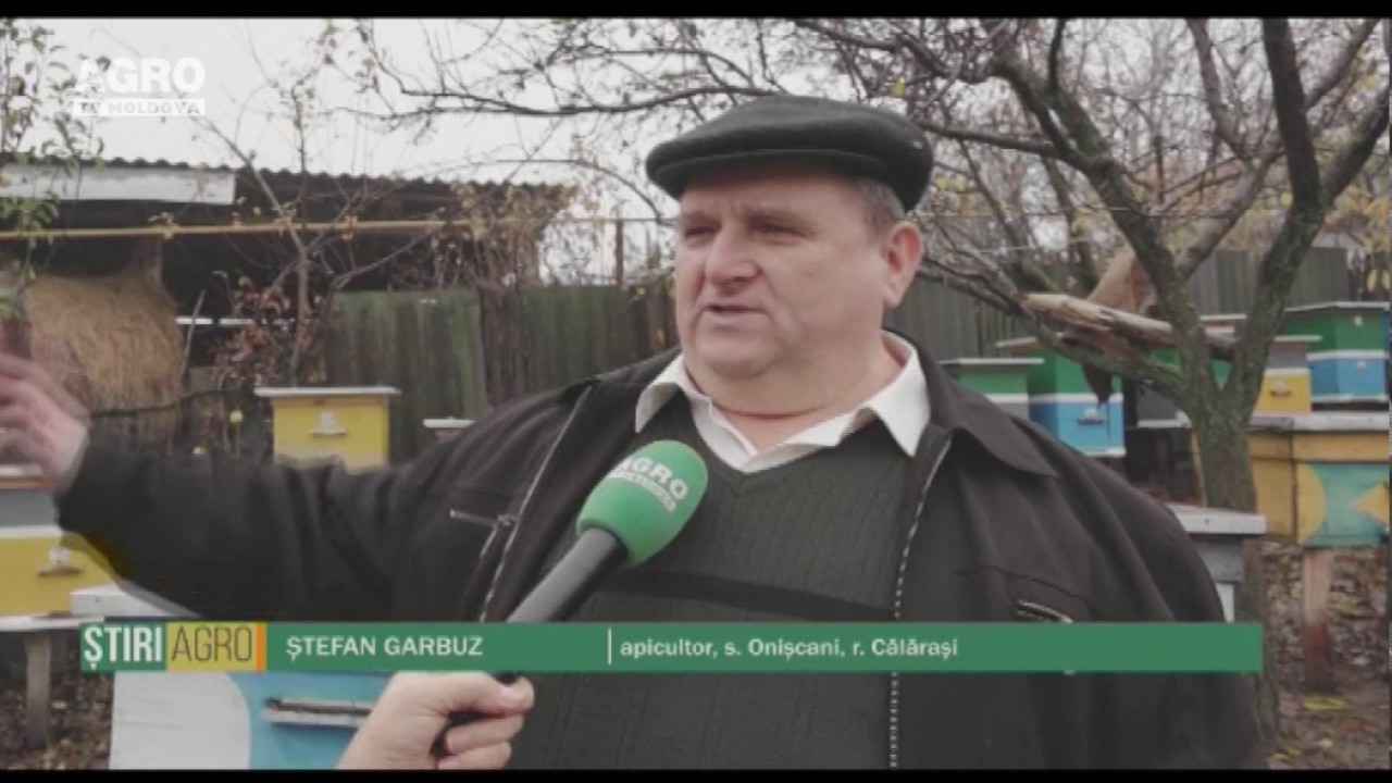 Orizontali-pentru albine, verticali-pentru miere
