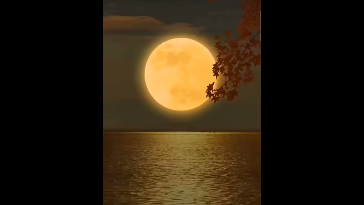 shabe barat ki barkatein 