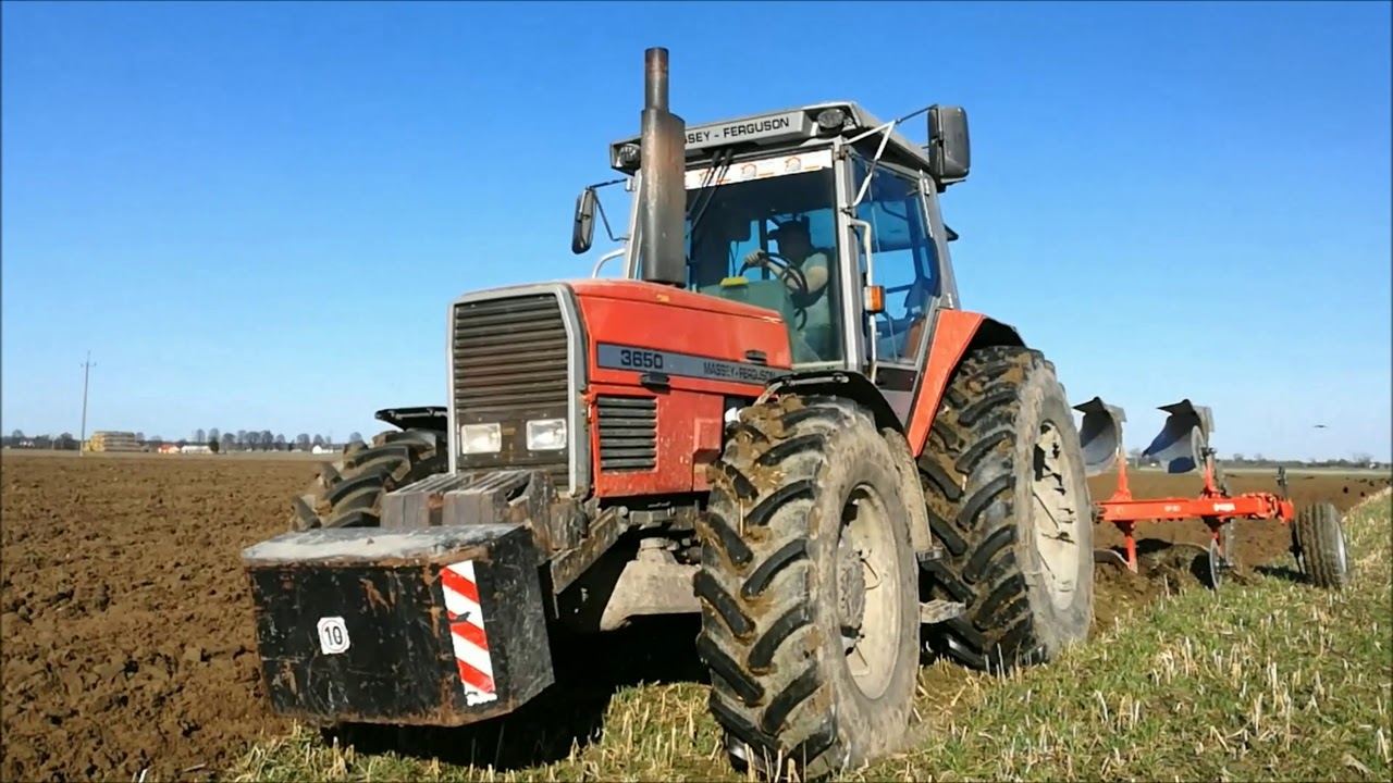 Orka Pod Rzepak Jary 2018 Massey Ferguson 3650/Akpil GR Wedyniuk