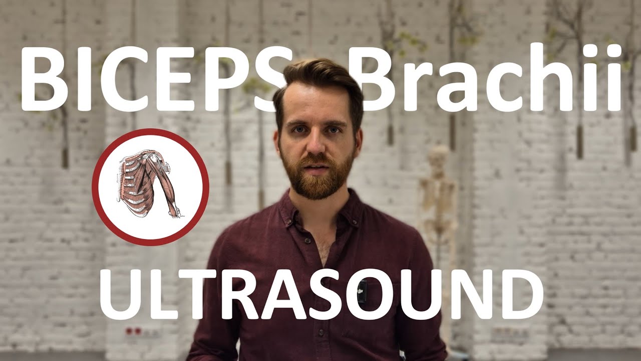 BICEPS BRACHII: Ultrasound Examination Tutorial
