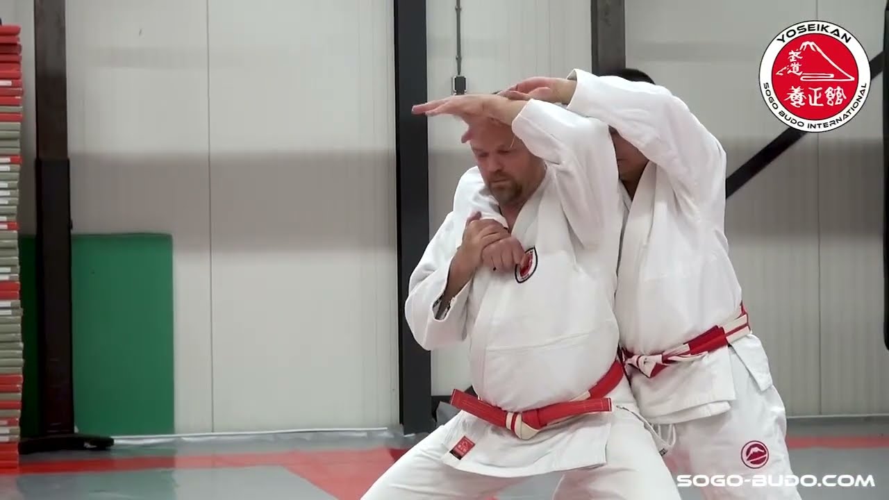 Minoru Mochizuki Memorial seminar 2025, demonstration by Edgar Kruyning
