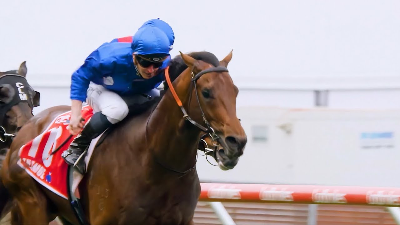 🇦🇺 Anamoe | First Yearlings 2026
