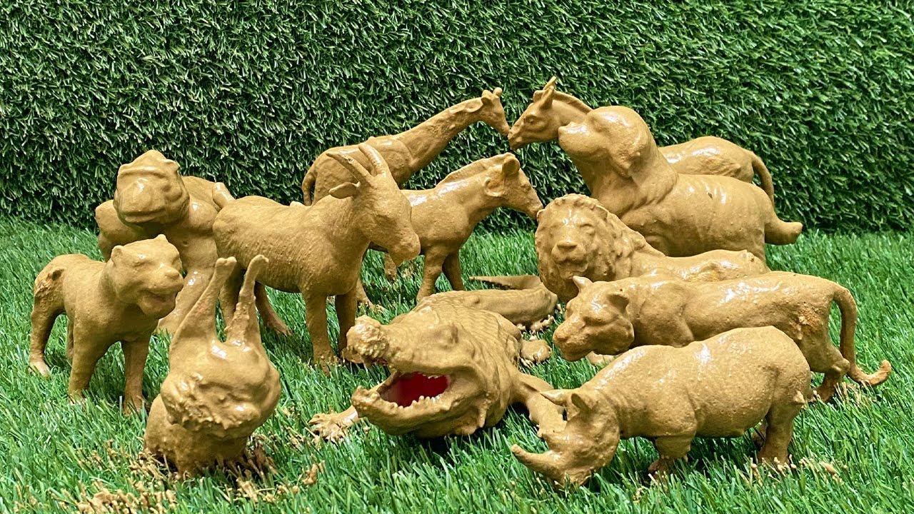 Exploring Nature&rsquo;s Giants: Farm Animals, Jungle Beasts, and Zoo Wonders!