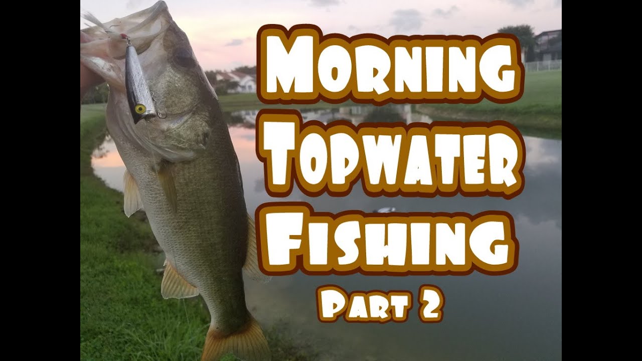 Early Morning TopWater Bass Fishing! Part2!