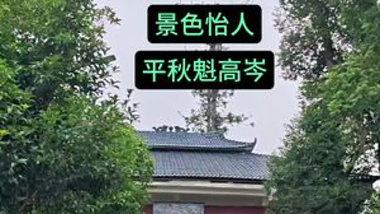 #故乡的原风景 #云雾缭绕人间仙境 #美丽乡村