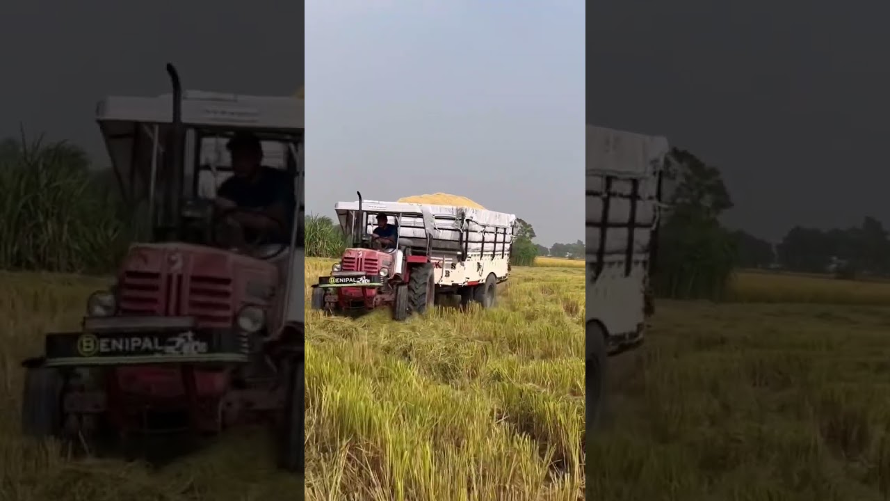 KARTA OHI KAM &bull; Inter Udd Gya Si &bull; Teji Benipal