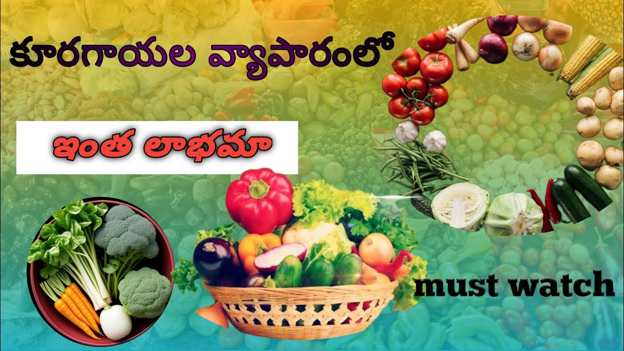 vegetable business in Telugu | కూరగాయల వ్యాపారం | how to start vegetable business