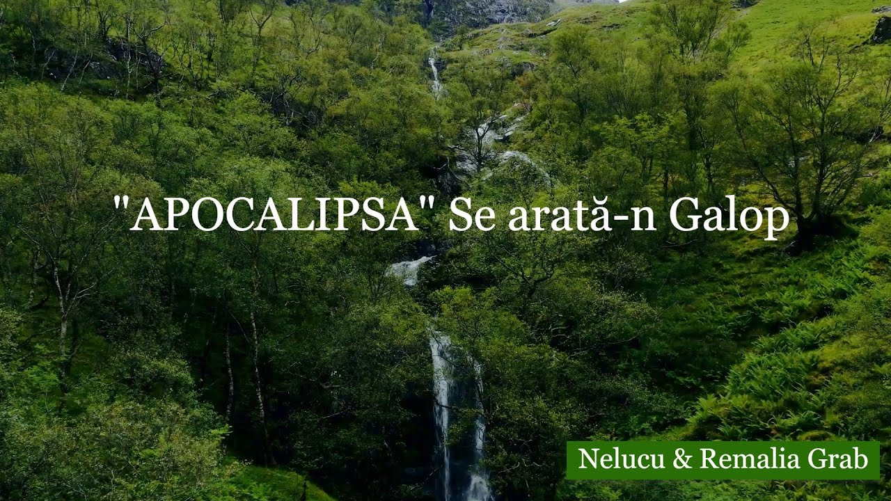 Nelucu & Remalia Grab - 