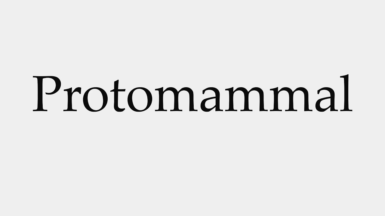 How to Pronounce Protomammal